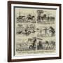 An Overland Journey from Queensland to Sydney with a New Chum-null-Framed Giclee Print