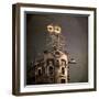 An Owl on a Roof in the City-Luis Beltran-Framed Photographic Print