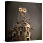An Owl on a Roof in the City-Luis Beltran-Stretched Canvas
