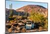 An rusted out car in the Sonoran Desert, Baja California, Mexico-Mark A Johnson-Mounted Photographic Print