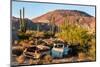 An rusted out car in the Sonoran Desert, Baja California, Mexico-Mark A Johnson-Mounted Photographic Print