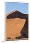 An s-curve on a tall orange-sand dune in Sossusvlei within Namib-Naukluft National Park, Namibia.-Brenda Tharp-Framed Photographic Print