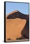 An s-curve on a tall orange-sand dune in Sossusvlei within Namib-Naukluft National Park, Namibia.-Brenda Tharp-Framed Stretched Canvas