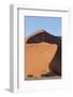 An s-curve on a tall orange-sand dune in Sossusvlei within Namib-Naukluft National Park, Namibia.-Brenda Tharp-Framed Photographic Print