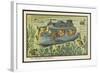 An Underwater Bus-Jean Marc Cote-Framed Art Print