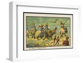 An Underwater Parade-Jean Marc Cote-Framed Photographic Print