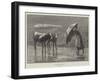 An Unexpected Meeting-null-Framed Giclee Print