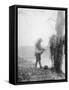 An Unidentified Australian Artillery Driver Cleaning Mud from His Team's Harness in a Billet Near M-null-Framed Stretched Canvas