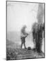 An Unidentified Australian Artillery Driver Cleaning Mud from His Team's Harness in a Billet Near M-null-Mounted Photographic Print