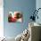 An Unidentified Baby is Fed at a Home for Hiv/Aids and Abandoned Children-null-Photographic Print displayed on a wall