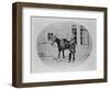 An Unidentified Cavalry Officer and His Mount, 1875-Robert French-Framed Giclee Print