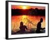 An Unidentified Couple Splashes in Lake Wandlitz Near Berlin on a Warm Evening-null-Framed Photographic Print