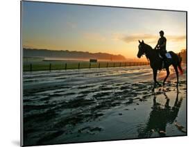 An Unidentified Horse and Rider on the Track at Belmont Park in Elmont, New York, June 9, 2006-Ed Betz-Mounted Premium Photographic Print