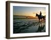 An Unidentified Horse and Rider on the Track at Belmont Park in Elmont, New York, June 9, 2006-Ed Betz-Framed Photographic Print