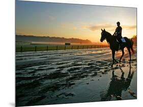 An Unidentified Horse and Rider on the Track at Belmont Park in Elmont, New York, June 9, 2006-Ed Betz-Mounted Photographic Print