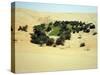 An untended oasis at the "Rub 'al-Khali", the Empty Quarter-Werner Forman-Stretched Canvas