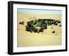 An untended oasis at the "Rub 'al-Khali", the Empty Quarter-Werner Forman-Framed Giclee Print