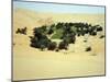 An untended oasis at the "Rub 'al-Khali", the Empty Quarter-Werner Forman-Mounted Giclee Print