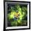 An Unusual Nebula in the Cosmos Has a Heart at its Center-null-Framed Art Print