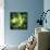 An Unusual Nebula in the Cosmos Has a Heart at its Center-null-Mounted Art Print displayed on a wall