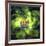 An Unusual Nebula in the Cosmos Has a Heart at its Center-null-Framed Art Print