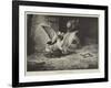 An Unwelcome Visitor-null-Framed Giclee Print