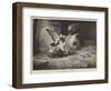 An Unwelcome Visitor-null-Framed Giclee Print