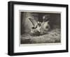 An Unwelcome Visitor-null-Framed Premium Giclee Print