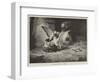 An Unwelcome Visitor-null-Framed Premium Giclee Print