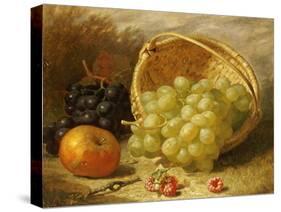 An Upturned Basket of Grapes, an Apple and Other Fruit-Eloise Harriet Stannard-Stretched Canvas