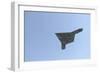 An X-47B Unmanned Combat Air System in Flight-null-Framed Photographic Print