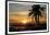 Ana Maria Sunset-Mike Jones-Framed Giclee Print