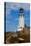 Anacapa Lighthouse, 2018-null-Stretched Canvas