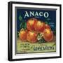 Anaco Apple Crate Label - San Francisco, CA-Lantern Press-Framed Art Print
