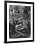 Anaconda-null-Framed Art Print