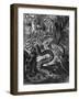 Anaconda-null-Framed Art Print