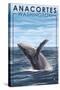 Anacortes, Washington - Humpback Whale-Lantern Press-Stretched Canvas