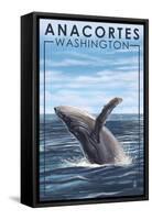 Anacortes, Washington - Humpback Whale-Lantern Press-Framed Stretched Canvas