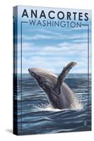 Anacortes, Washington - Humpback Whale-Lantern Press-Stretched Canvas