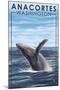Anacortes, Washington - Humpback Whale-Lantern Press-Mounted Art Print