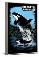 Anacortes, Washington - Orca and Calf Scratchboard-Lantern Press-Framed Art Print