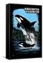 Anacortes, Washington - Orca and Calf Scratchboard-Lantern Press-Framed Stretched Canvas