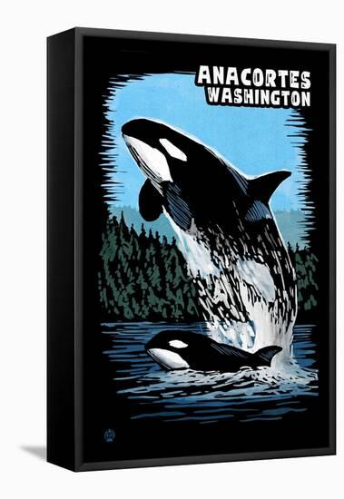 Anacortes, Washington - Orca and Calf Scratchboard-Lantern Press-Framed Stretched Canvas