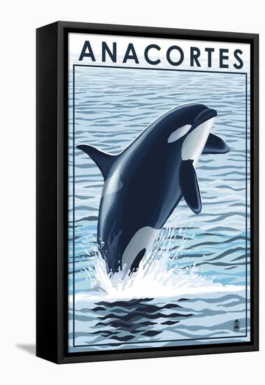 Anacortes, Washington - Orca Whale Jumping-Lantern Press-Framed Stretched Canvas