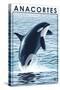 Anacortes, Washington - Orca Whale Jumping-Lantern Press-Stretched Canvas