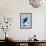Anacortes, Washington - Orca Whale Jumping-Lantern Press-Framed Art Print displayed on a wall