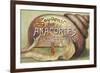 Anacortes, Washington - Shells & Sailboat Souvenir-Lantern Press-Framed Art Print