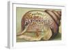 Anacortes, Washington - Shells & Sailboat Souvenir-Lantern Press-Framed Art Print