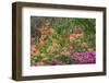 Anaeho'omalu Bay, Kohala Coast, Big Island, Hawaii, USA-Stuart Westmorland-Framed Photographic Print