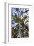 Anaeho'omalu Bay, Kohala Coast, Big Island, Hawaii, USA-Stuart Westmorland-Framed Photographic Print